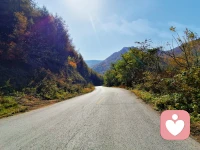 當一個人不可冒犯，不可誘惑和不可動搖之時，他身上就具有了某種迷人的東西?！獫h娜·阿倫特配圖