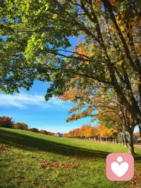 人的大腦經常會不經現在的自己的同意，按照已經過去了很久的當時的標準，自動對很多事情做出對錯的判斷、否定或肯定的判斷。

這就人的大腦潛意識的運行原理。

所以，人生有一件非常重要的事情，就是去把自己大腦里的潛意識，給自己翻譯成顯意識，找出那些已經舊了、爛了、過時了的評判標準，該淘汰的必須要淘汰，該更換的必須要更換，這樣的新舊更替還必須要持續進行下去，這就叫更新自己的心智，這才是真正的有效成長。

否則，人就變成了自己大腦潛意識的奴隸，變成了過去的自己的奴隸，這是很多人都過不好自己的當下，無法在歲月中得到成長的重要原因。配圖