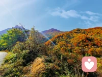 生活的本意就像是滴水穿石，簡單，重復。不會生活的人感到厭倦，會生活的人在上億次的重復之中，去感受到毎一次都不一樣，并且終有洞穿石頭的那一天。配圖