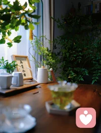 接受一切的發生，真正這樣去做了，無論是自己正在經歷所發生的事，還是正在發生的事在經過自己，人既深入著，又旁觀著，覺知便有了更豐滿的角度，生命也有了更豐富的體驗。配圖