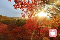 每一個(gè)角度，每一種體驗(yàn)，都是真理的一個(gè)部分。靠近真理的人，就是能海納百川的人。配圖