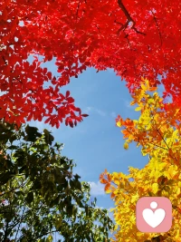 壞脾氣的消失，可以準確地反映智慧的增長。——尼采 ????配圖