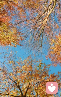 #關于家庭教育#的一點點反思

人與人的關系中，最重要的一個問題是誰替誰承受和消化焦慮。比如父母替孩子承受和消化焦慮，那就是合格的父母。而遺憾的是，在現實中，經常是孩子替父母承受和消化焦慮。想象這樣一幅畫面，孩子有時候“裝出來”學習的樣子，其實是在扮演心理醫生，“治療”父母的焦慮。配圖