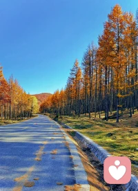 “如果你我每天都能洗凈自己的心智，把它從昨日的記憶中解脫出來，那么我們每個人都會有一顆清新的心，一個足以應付各種生存問題的心。”——克里希那穆提 ?配圖