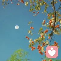 別過分把心思放在別人身上，安安靜靜、真實(shí)的做自己，才算不負(fù)生命。靜默與生長，簡單與庸常，是美好的，也是生活的一部分。配圖