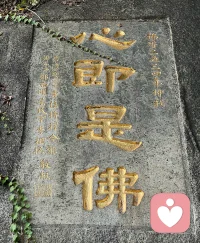 愿每個人都活出生命的善意和慈悲，并能由衷的給予，在人與人之間緩緩流淌……配圖