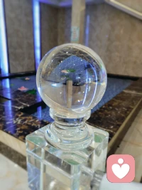 什么是“黑色生命力”

是說，經(jīng)歷創(chuàng)傷、壓力或逆境后所長出的適應(yīng)力量，包含對(duì)情緒更寬闊的認(rèn)識(shí)及體悟、對(duì)復(fù)雜性的認(rèn)知及理解、對(duì)生命的洞見及人生哲學(xué)。

真正強(qiáng)大的人都曾獨(dú)自穿越過一片黑暗森林，在這段至暗時(shí)光，需要忍受各種委屈；辛苦不被認(rèn)可、隱忍不被理解、真心不被接納、付出沒有結(jié)果。

凡是最終穿過這片黑暗沼澤地的人，才能看穿人性，看透人間冷暖，才能真正百煉成鋼。那些從地獄回來的人，他們都擁有了這種黑色生命力！配圖