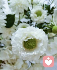 人生是一場夢，有人在死的那一刻會醒來，有人這輩子永遠醒不過來，有人依靠殊勝因緣當下醒悟。不管怎么樣，真相不會因我們不知道而不存在。我們的不知道，只會讓自己因為執著受苦。
      ——索達吉堪布 ???配圖