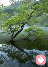 非暴力溝通，培育深度傾聽的能力，讓我們帶著尊重和同理心對待他人，并且發自內心的相互給予。非暴力溝通幫助我們與他人和自己建立連接，使我們得以流露與生俱來的慈悲之心。他指引我們通過將注意力聚焦在觀察、感受、需要和請求這四個要素來重新構建表達和聆聽的方式，在人際關系中創造了更深厚的連接。配圖