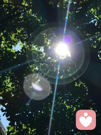 世界上好多好玩有趣的事，必须亲自参与才有意思。明确的爱，直接的厌恶，真诚的喜欢，站在太阳下的坦荡，大声无愧地称赞自己。新的一天，愿你活得精彩快乐！配图