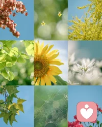 一个人的心智角度越多越丰富，则越能够接近事物的真相。配图