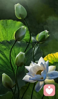 如果此刻的你被焦躁不安、恐懼憂思纏縛著，不妨暫時停下手中所做的一切。將自己想象為超脫于時光之外的旁觀者，觀察當下，不做任何干預?？纯磿l生什么？你的感受如何？又聽到了什么？就這樣靜地靜坐在思想之河的岸邊，聆聽他的聲音，讓他的力量指引我們而不是奴役我們。

正念冥想讓我們學習如何從奔流不息的凡庸想法和沖動驅使下的洪流中脫身，不讓這湍急的洪流席卷我們的生活，將我們帶向我們不想去的地方，甚至有時候是我們沒有意識到自己正在前往的何方。配圖