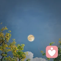 人生十大“奢侈品”

第一：生命的覺悟
第二：一顆自由喜悅充滿愛的心
第三：走遍天下的氣魄
第四：回歸自然和與大自然鏈接的能力
第五：安穩(wěn)而平和的睡眠
第六：享受真正屬于自己的空間和時間
第七：彼此深愛的靈魂伴侶
第八：任何時候都有真正懂自己的人
第九：身體健康內心富有
第十：能感染他人并點醒配圖