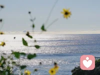 我们的内心，像湖面或者是水面，水面上总有波纹，又是惊涛骇浪，有时涟漪轻情，有时细微到令人难以觉察。水波因风而起，而风时有时无，时强时弱，方向也不确定。正如我们生活中的压力之风，它影响我们的生活，在我们心中激起浪花朵朵……

我们的内心之波是不可能被压制的，生命本身就是一场体验之旅，不如顺势而为，即使你无法遏制波浪，但你可以学会冲浪。配图