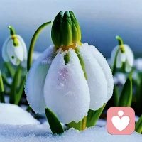 勿以有限身，喂養(yǎng)無盡欲。配圖