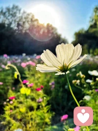 健康的心态，持续的学习，健康的饮食，丰富的阅读，这些很重要。人生是一场马拉松，学会用马拉松的心态去过这一生，不要在意一时的先后，他比你多起跑几步，你让他跑好了，龟兔赛跑，最后赢的是龟。配图