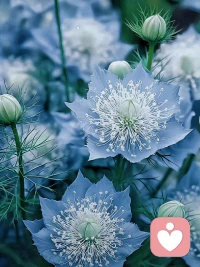 谋爱先谋生，爱人先爱己，降低期待，减少依赖，把时间和精力放在自己身上，成全自己想做的事，成为自己想成为的人。配图