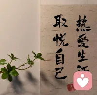 新的一天，不在担心与顾虑中蹉跎时间。周末愉快。配图