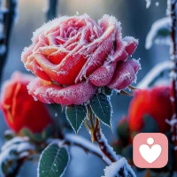 把自己喜欢的事情往极致去做，就可以触碰到自身的各种限制，等到自己真正触摸到某种限制的时候，新鲜的风景就同时岀现了，这些风景又能让人去突破自身的限制。每突破一种限制，都是一次重生。配图