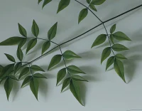 真正的愛，包括適當的拒絕、 及時的贊美、得體的批評、 恰當的爭論、必要的鼓勵、 溫柔的安慰、有效的敦促。配圖