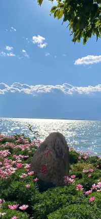 智慧是唯一的善，無知是唯一的惡，抑惡揚善就是認識你自己。——蘇格拉底配圖