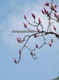 別人怎么看待你，這只是階段性的“運”， 你怎么看待自己，這才是一生的命運。配圖