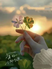 路上見識世界，途中認清自己。
尊重其他聲音,但只成為自己。配圖