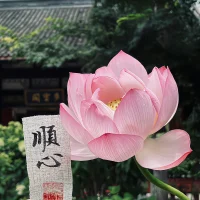 每個人的命運，只有兩種改變的方式。

第一種，是遭遇到了某種非常強烈的刺激，人的心性和行為模式產生了巨大的變化。

第二種，針對性自己的某些習性和習慣，進行長時間的專門的練習，建立起了全新的習慣和習性。配圖