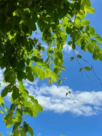 春未盡，夏初臨，遇見美好，遇見溫暖～五月，蘊藏期待～配圖