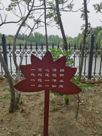 今天給自己放假，好好感受這里的一切。
靜生慧，心中多一分慈悲與智慧，生活便少一分煩惱。所謂諸事順意，莫向外求！

?配圖