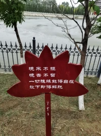 今天給自己放假，好好感受這里的一切。
靜生慧，心中多一分慈悲與智慧，生活便少一分煩惱。所謂諸事順意，莫向外求！

?配圖
