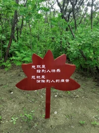 今天給自己放假，好好感受這里的一切。
靜生慧，心中多一分慈悲與智慧，生活便少一分煩惱。所謂諸事順意，莫向外求！

?配圖