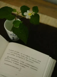 那些看起來(lái)普通而樸素、平平淡淡、心有絕技但隱藏鋒芒的人。混在人群中，苦樂悲喜都接受。溫柔而安靜地微笑，該說(shuō)直接地說(shuō)，不該說(shuō)就沉默是金。什么都容納，什么都明白。
喜歡清清爽爽的克制而開放的人。配圖