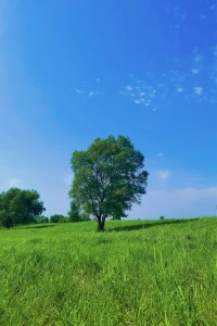 生活無解，戶外撒野 ??。今日份隨走、隨停、隨拍，人生隨意需盡歡……配圖