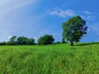 生活無解，戶外撒野 ??。今日份隨走、隨停、隨拍，人生隨意需盡歡……配圖