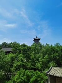 生活無解，戶外撒野 ??。今日份隨走、隨停、隨拍，人生隨意需盡歡……配圖