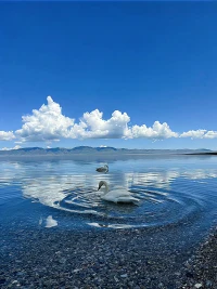 抱怨通常是人們對本然不接受的表現。當你在抱怨時，你就使自己變成了一個受害者。

當你大聲說出自己的感受，你就是在行使你的力量。所以，如果有必要或者有可能的話，你可以通過采取行動或大聲說出你的想法來改變這種情況，要么離開這種情境，要么接納他，其他一切的行為都是瘋狂的。

如果你發現你的“此時此地”變得無法忍受，并且使你非常不開心，這時你有三種選擇，從這種狀況中離開，改變它或者完全接受它。如果你想對你的生命負責任的話。你必須選擇其中一個，同時必須現在就做出選擇，然后接受你的選擇所帶來的后果，沒有借口，沒有消極的態度，沒有精神上的污染。保持你內在空間的清潔。配圖
