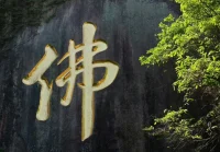 見沒見過世面不重要，因為世面只是這個世界的一面，就看你能否通過世界的任意一面，見天地 了，見眾生， 見本性，見因果，見輪回。配圖