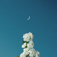 尼采曾說：“永遠不要舍棄，靈魂中那個心高氣傲的英雄，一切從尊敬，一事無成的自己開始。”
所以，想對我的來訪者說：“別為了那些不屬于你的觀眾，去演你不擅長的人生。” ?配圖