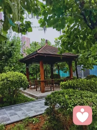 人生沒有最好的年齡，只有最好的心態，我們爭不過歲月，也跑不過時間，唯有以自己喜歡的的方式，過好每一個日出日落。早安！開啟新的一天！配圖