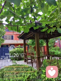 夏末秋至，九月已開啟，繼續對生活懷有敬意，給日常生活添加一些新意，愿這個秋天，心無事，念無憂，滿心歡喜，盡是溫柔。配圖