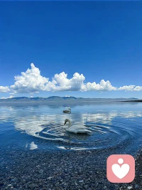 偏執(zhí)型人格障礙和偏執(zhí)型精神分裂癥 

偏執(zhí)型人格障礙患者的集中表現(xiàn)是，對(duì)他人普遍地不信任和猜疑，并把他們的動(dòng)機(jī)解釋為惡意。這種猜疑起自早期成年，前后過(guò)程多種多樣，表現(xiàn)為具有下面四種以上的特點(diǎn)：
1、沒(méi)有證據(jù)地猜疑別人會(huì)傷害或欺騙自己。
2、沉湎于不公正地懷疑朋友或同事對(duì)自己的忠誠(chéng)和信任。擔(dān)心一些信息會(huì)被惡意地用來(lái)對(duì)付自己。
3、對(duì)常見(jiàn)的記號(hào)或事件會(huì)認(rèn)為有貶低或威脅自己的危險(xiǎn)。
4、持久地認(rèn)為他人對(duì)自己有惡意，對(duì)他人的侮辱或傷害一直耿耿于懷，不予寬容。
5、感到自己的人格或名譽(yù)受到打擊，并且迅速做出憤怒反應(yīng)或做出反擊。
6、對(duì)配偶或戀人的忠貞反復(fù)地表示猜疑，雖然沒(méi)有證據(jù)。

偏執(zhí)型精神分裂癥除了具備以上特點(diǎn)外，還伴隨有妄想和幻覺(jué)。此外，因?yàn)槠珗?zhí)型精神分裂癥患者不具備言語(yǔ)紊亂、行為紊亂、情感平淡等明顯的癥狀，所以很容易被認(rèn)為是正常人。就是說(shuō)，除了對(duì)一點(diǎn)或幾點(diǎn)問(wèn)題的極其固執(zhí)外，他們其他方面與正常人沒(méi)有什么兩樣。

偏執(zhí)型精神分裂癥和偏執(zhí)型人格障礙，都是一種極端。還有大量的人遠(yuǎn)達(dá)不到這一診斷標(biāo)準(zhǔn)，卻具備其中的一個(gè)或以上特點(diǎn)。配圖