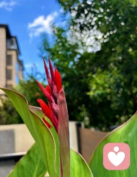 淺秋清晨，涼涼且溫柔的風拂面而來，又是新的一天！此刻已經學習了一節督導課，在漫漫的生活中慢慢充實成長，每天一點點向前，如此，就好……配圖