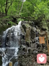 反者，道之動，弱者，道之用。天下萬物生于有，有生于無。新的一天，山高萬仞，我只登一步。配圖