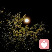 路遙的《平凡的世界》里寫道：與其認真，不如隨便，采菊東籬下，悠然見南山。有錢就尋一醉，無錢就尋一睡，與過無爭，隨遇而安。
所以，心安，一切皆安。晚安，假期愉快。配圖