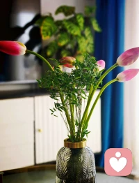 每一階段的抵達，都是一步一個腳印積累出來的，保持對新事物、新領域探索的好奇，耐心努力，就是行進在進步的路上；慢慢來，別著急，生活終將為你備好所有答案。 ???配圖