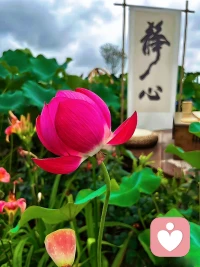 人生一輩子，都在為自己的認知買單。用一秒鐘內看到本質的人，和半輩子也看不清一件事本質的人，自然是不一樣的命運。配圖