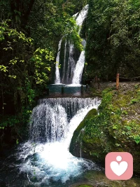 覺知和觀照，?可以幫助我們慢慢長(zhǎng)養(yǎng)定力，看清事物發(fā)展的規(guī)律和真相。配圖