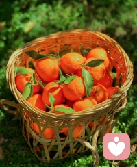 我們要做什么，都離不開這樸素的生活。
我們要成為什么，世事靜方見，人情淡始長，學會在生活的風雨當中得生活真滋味。
轉眼又是金秋之時，又見一番清新靈動，用心去發現一份美好，并祝福未來。配圖