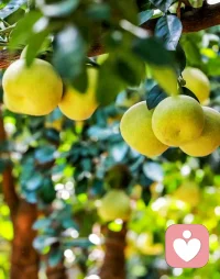 我們要做什么，都離不開這樸素的生活。
我們要成為什么，世事靜方見，人情淡始長，學會在生活的風雨當中得生活真滋味。
轉眼又是金秋之時，又見一番清新靈動，用心去發現一份美好，并祝福未來。配圖